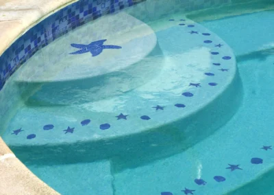 waterproofing services pool tiling services pool tiles pool mosaic art perth
